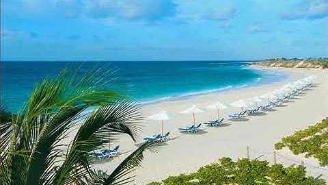 110 سورة النصر  الشيخ إبراهيم جمال القرجاوي  برواية #روح_عن_يعقوب