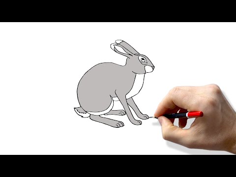 Как нарисовать зайца (кролика) поэтапно карандашом / How to draw a rabbit (hare) gradually pencil