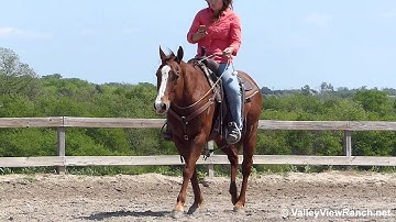 Travalena Cody      ***For info, price, etc., go to our website*** Valley View Ranch