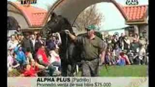 PATAGONIA TURF - AMERICA SPORTS - 06/10/11 1