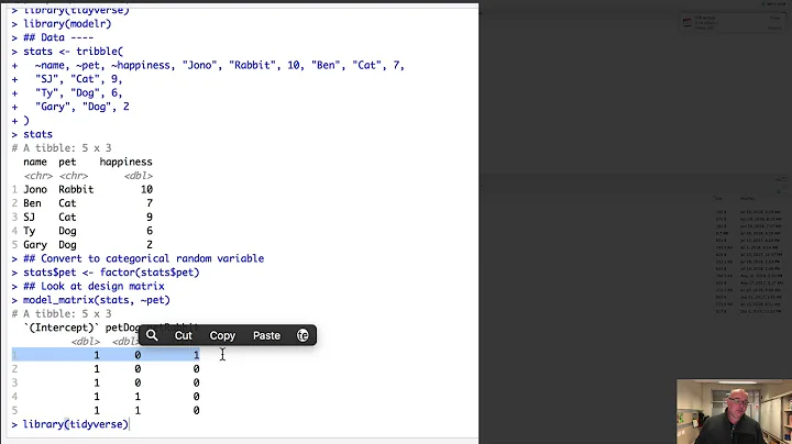 Representing categorical variables in R
