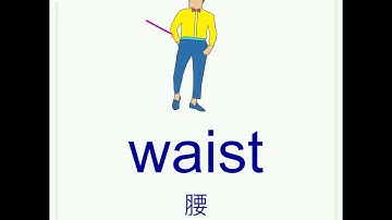 身體部位英文單字-快速學會20個身體英文單字 #shorts #英文單字 #身體部位英文 #中文學習