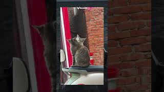 Ada Aja Kelakuan Meng Meng Ini