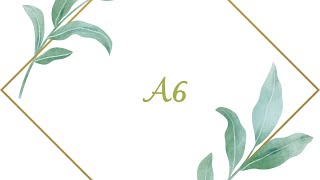 A6 (928 Sq ft)