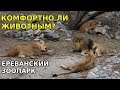 Ереванский зоопарк - пример для подражания? Армения