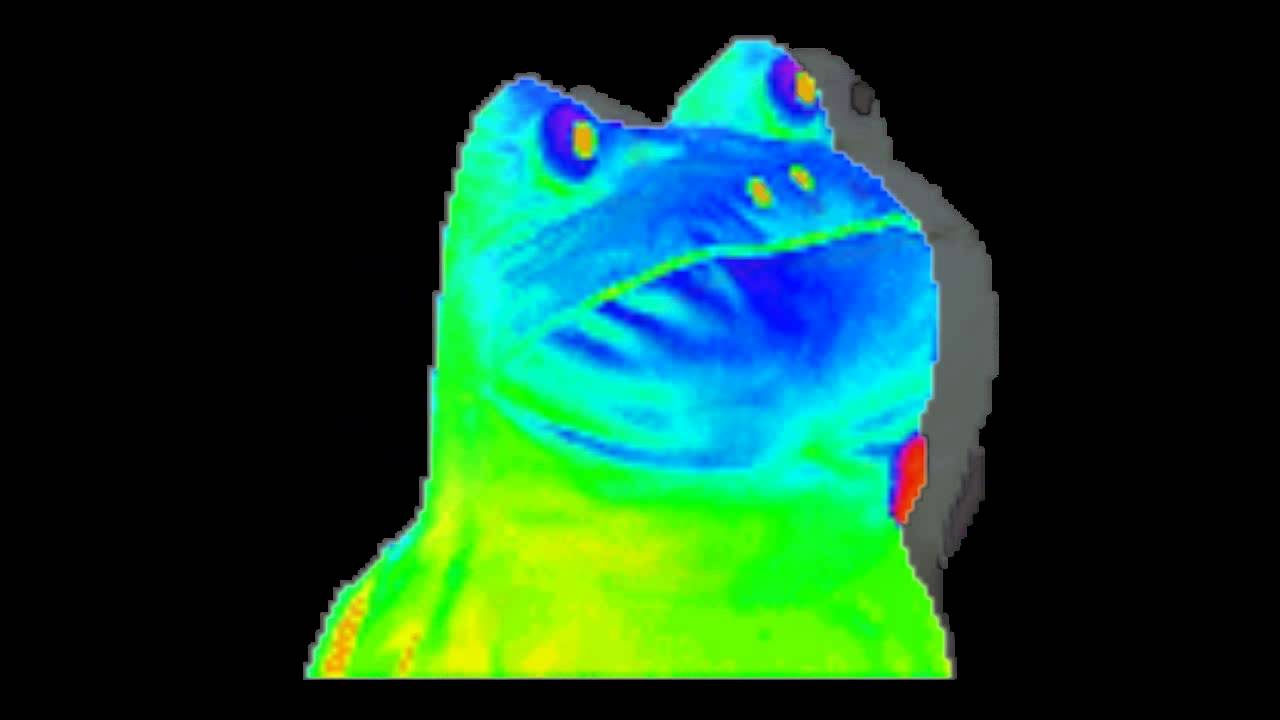 Frog Dance 2 (Rainbow Frog) (Black Screen) - YouTube