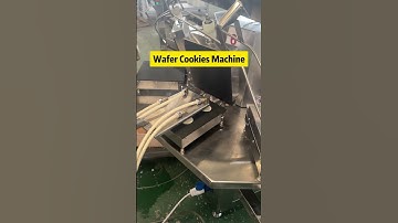 Factory Supply Wafer Biscuits Cookies Machine | Waffle Cookies Machine Factory | Mini Waffle Maker