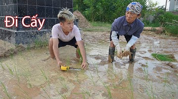 Hưng Vlog - Đi Cấy Cho Mẹ Và Cái Kết | Prank Mom