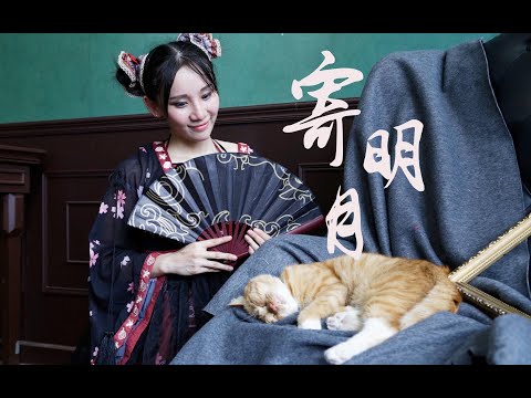 【七夕快乐？】✿一丢丢特技+寄明月✿将此喵和单身软寄明月吧