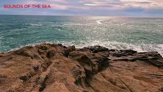 Coastal Echoes: Serenity at the Shoreline by Sounds of the Sea 85 views 2 weeks ago 40 minutes