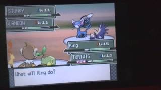 Pokemon Platinum Part 12-Exploring