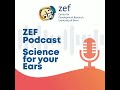 ZEF Podcast #2: ZEF in the City