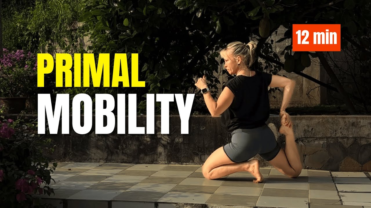 12 MIN QUICK PRIMAL MOBILITY 🌿 Mobility & Movement Connection