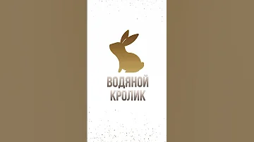 Год водяного кролика