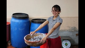 Hướng dẫn cách làm enzym bồ hòn chi tiết