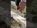 Easy DIY Solution Anyone Can Try at Home