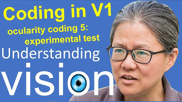 Understanding vision book:  Chap 3, Efficient Coding 15:  oculartiy coding: experimental tests