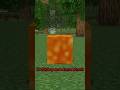 Hiding as LAVA to Prank My Friend! #minecraft #shorts