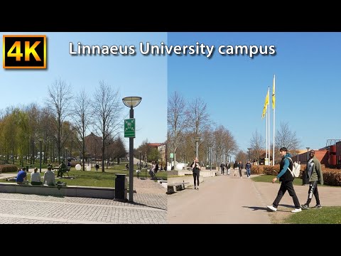 4K Walk at Växjö Linnaeus University Campus