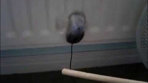 The Ultimate Alching Method