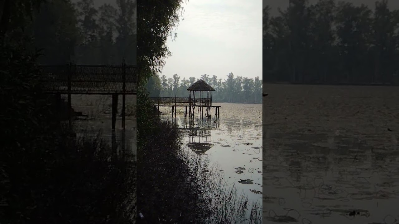 আলতাদীঘি | Altadighi | আলতাদীঘি জাতীয় উদ্যান ধামুরহাট নওগাঁ