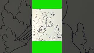 Bird Drawing Tutorial shorts youtubeshorts shortsvideo ..