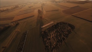 CINEFLIGHT - FPV Tree Dancing