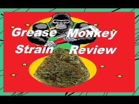 Grease Monkey Kush Strain Cannabis Strain Review /Smoke Session(comedy ...