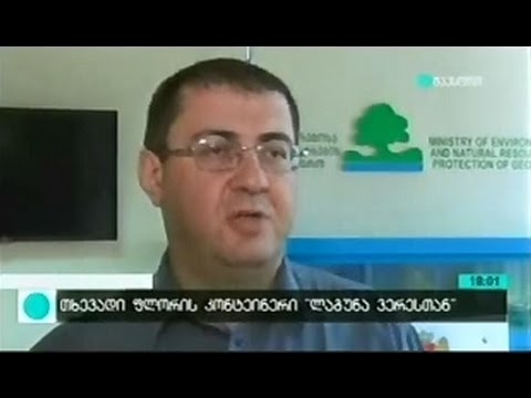 MOE: გარემოსა და ბუნებრივი რესურსების დაცვის სამინისტროს განცხადება