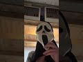 تقيم شيبسات جزائر