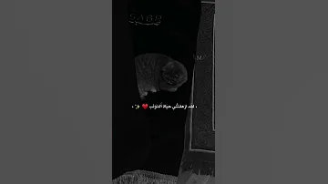 دعوني اسيرو إلى خالقي 