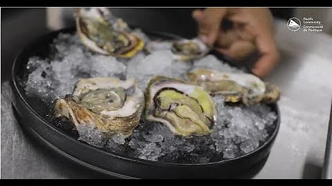 From small town to world-class: The rise of women Oyster Farmers in Vutia, Fiji