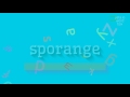 How to say "sporange"! (High Quality Voices)