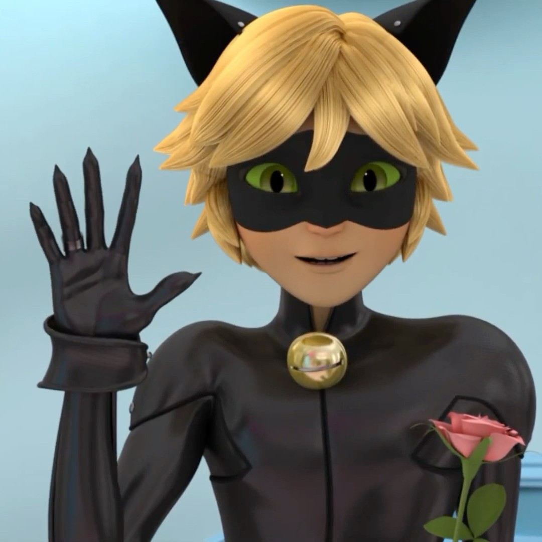 CAT NOIR FOI NA CASA DA LADY BUG #shorts