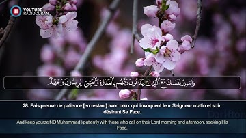 سورة الكهف بقراءة تريح القلب #علي التركماني#