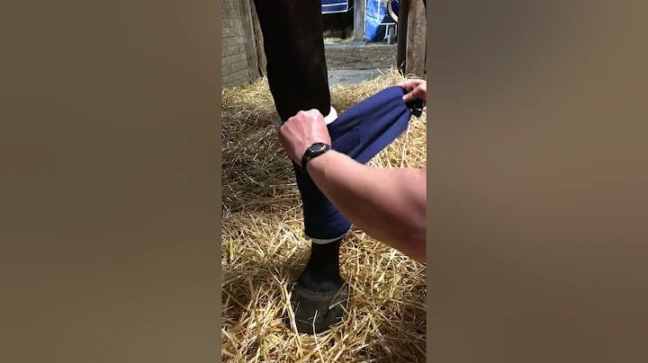 Standing Bandage