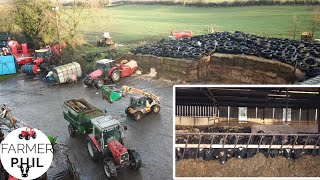 FEEDING THE 500 | WHAT WE FEED OUR CATTLE