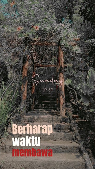 ||Berdua saja - payung teduh|| #shorts ,#storywa