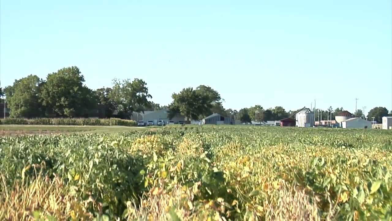 Beyond the Bean On-Air -- Episode 6