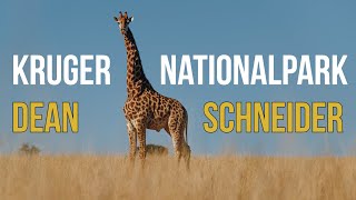 Kruger Nationalpark with Dean Schneider by Dean Schneider 727,628 views 3 years ago 12 minutes, 54 seconds