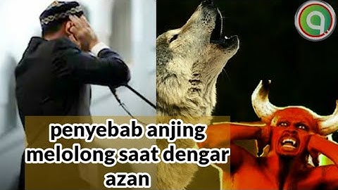 Astaqhfirullah inilah penyebab anjing melolong ketika mendengar azan.cepat ucapkan ini...