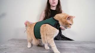 Kitty Holster Review (We Tried It)