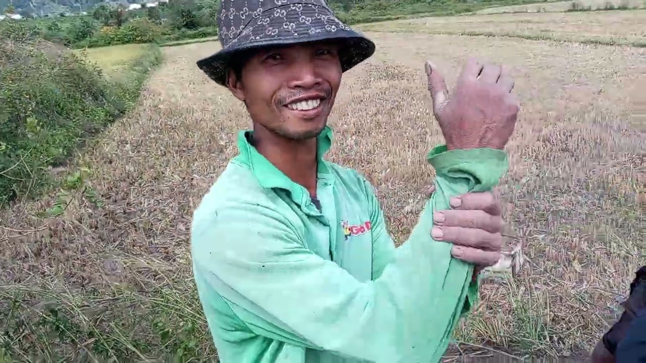 Đào  ổ chuột khủng lồ