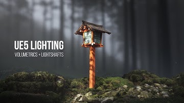 Unreal engine 5 photorealistic forest in 4k. Advanced lighting techniques in UE5.