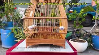 Lồng Sin Đẹp Giá 1Tr550K -Form Chuẩn, Tre Già....