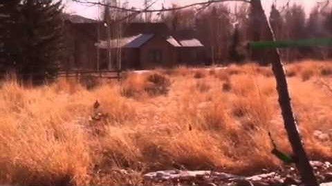 MG-3b dual deployment static test failure.