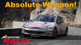 Peugeot 206 WRC at Monte Carlo Bollene