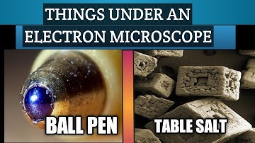 THINGS UNDER AN ELECTRON MICROSCOPE // FACT BOX 360//