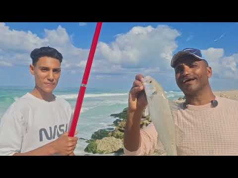 عرفت علاج السمكه المسممه أول يوم صيد فى النوه