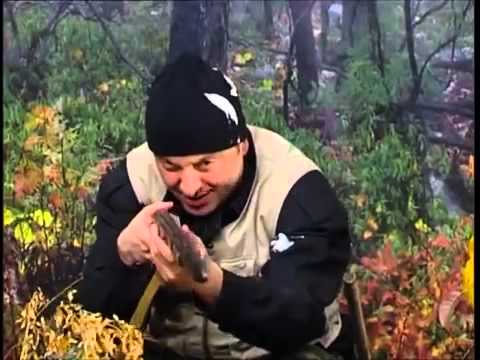 პრიკოლი,იუმორი,ღადავი,prikoli,xadavi,iumori